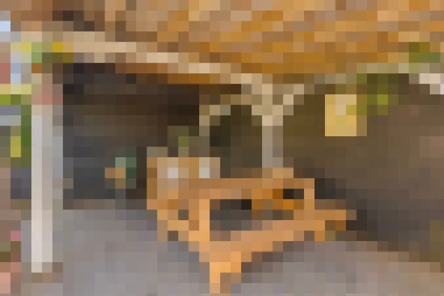 Boomgaardpad 29 Ooltgensplaat thumbnail 41