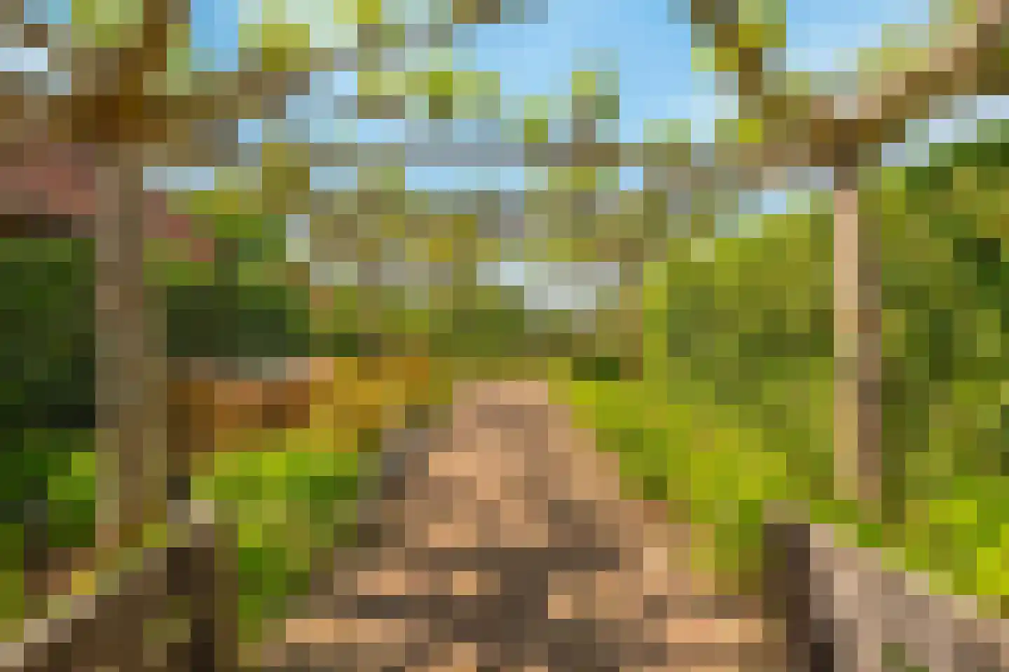 Boomgaardpad 29 Ooltgensplaat thumbnail 42