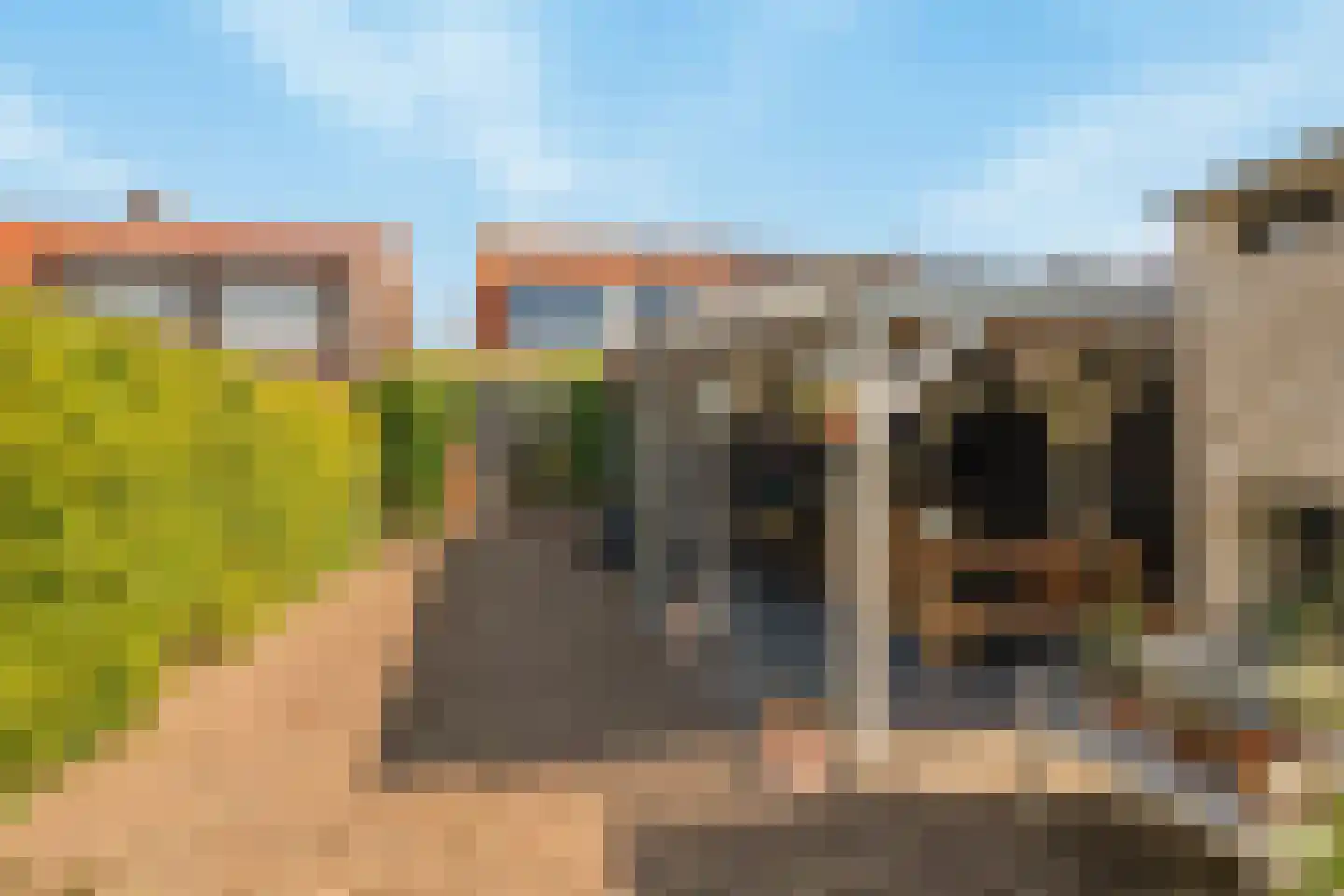Boomgaardpad 29 Ooltgensplaat thumbnail 44