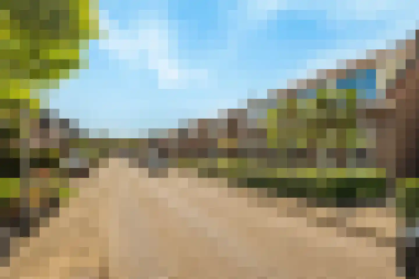 Boomgaardpad 29 Ooltgensplaat thumbnail 5