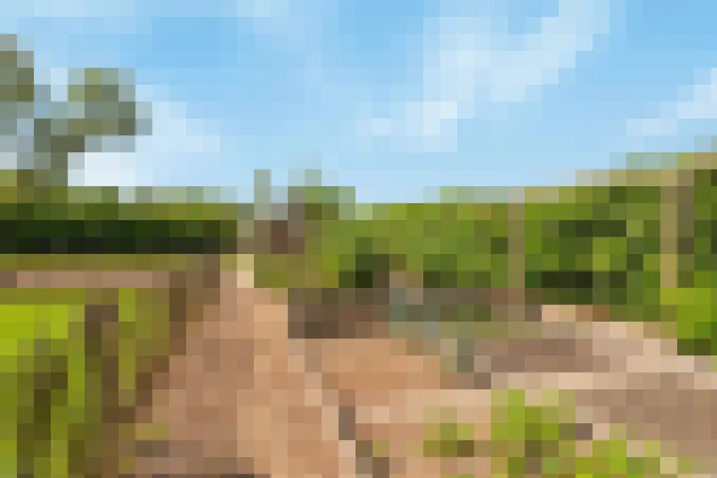 Boomgaardpad 29 Ooltgensplaat thumbnail 54