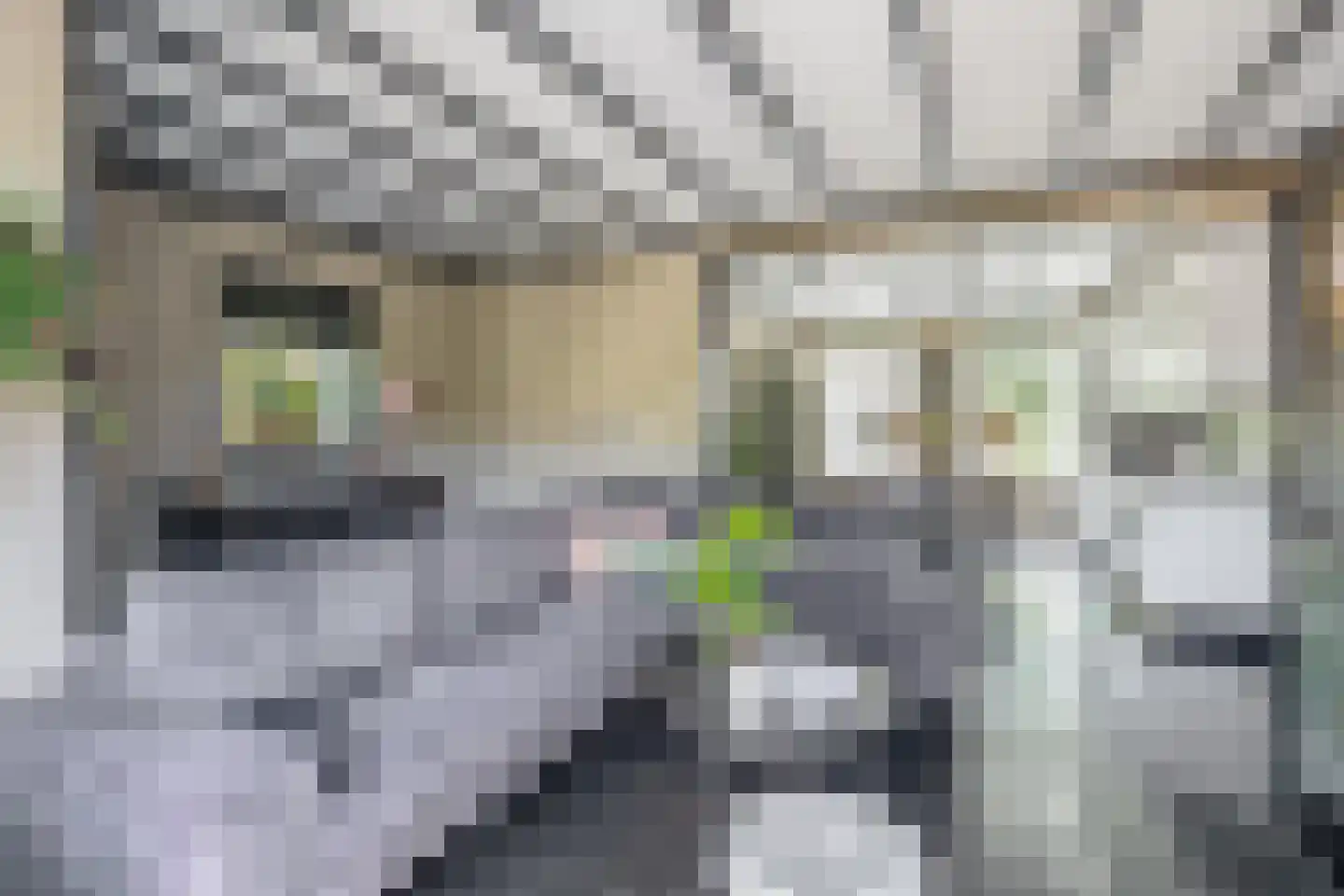 Boomgaardpad 6 Ooltgensplaat thumbnail 12
