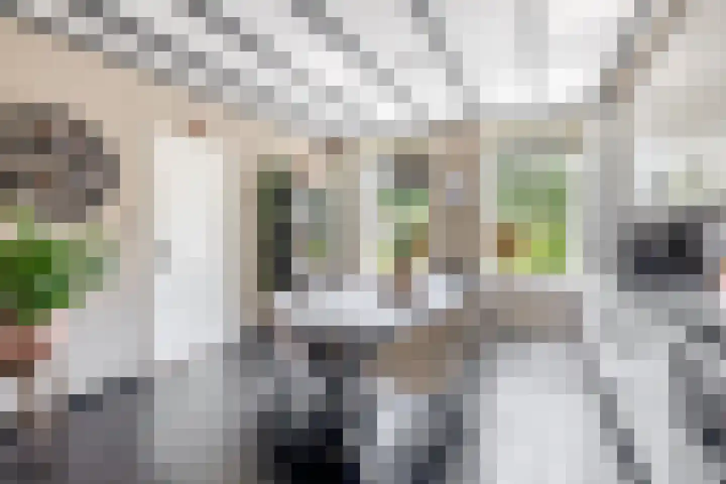 Boomgaardpad 6 Ooltgensplaat thumbnail 14