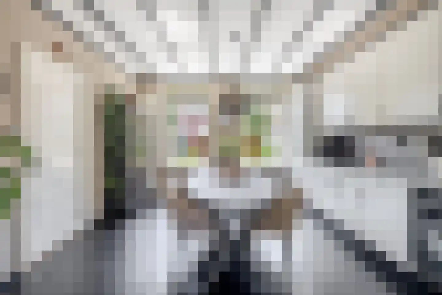 Boomgaardpad 6 Ooltgensplaat thumbnail 15