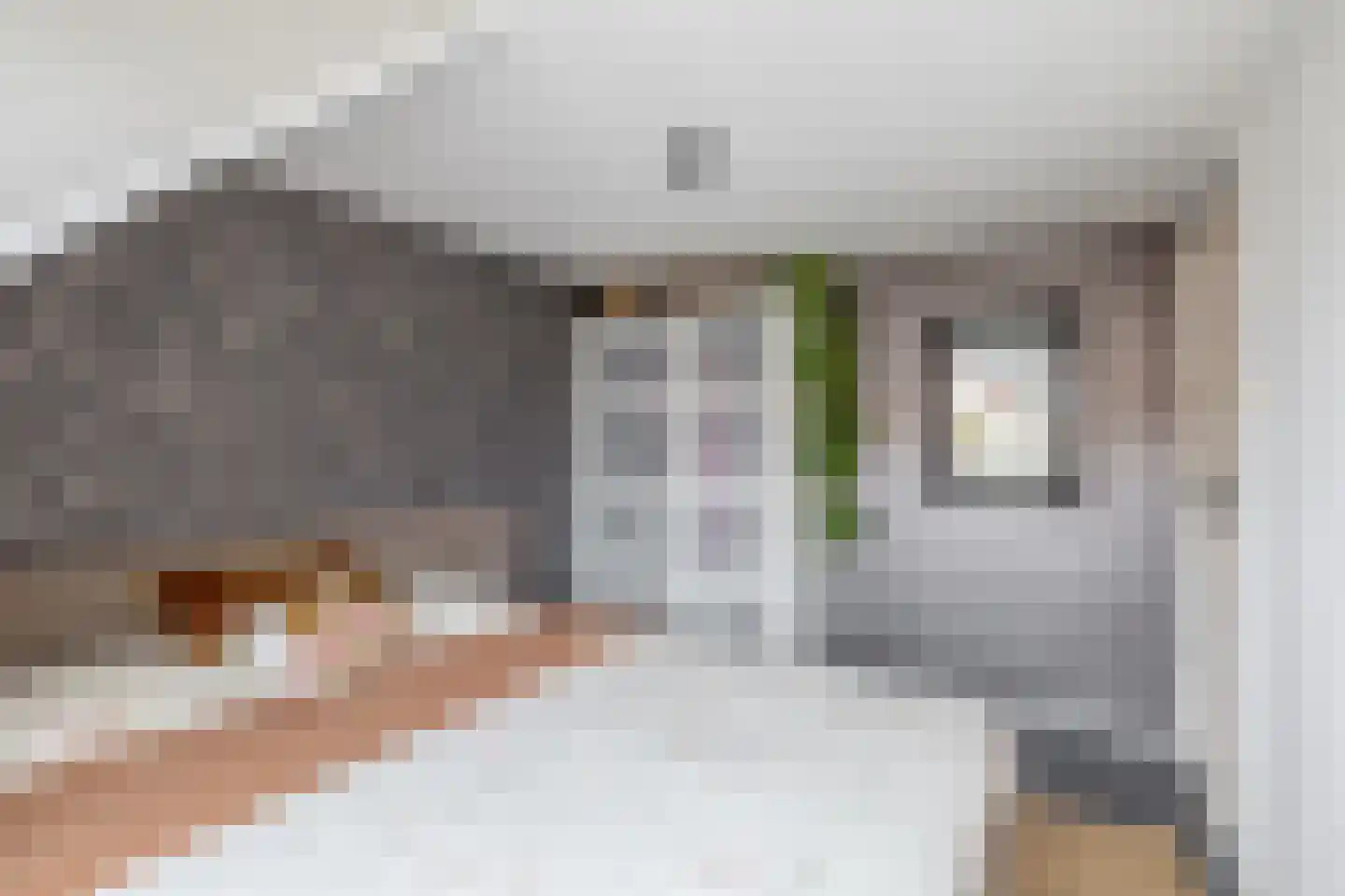 Boomgaardpad 6 Ooltgensplaat thumbnail 23