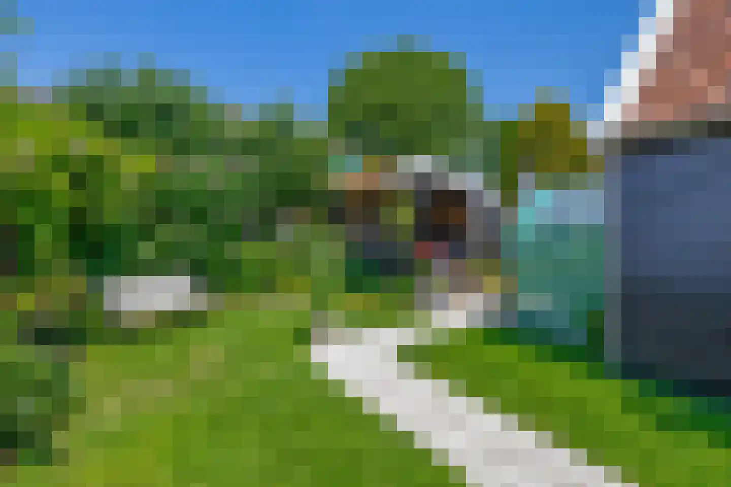 Boomgaardpad 6 Ooltgensplaat thumbnail 34