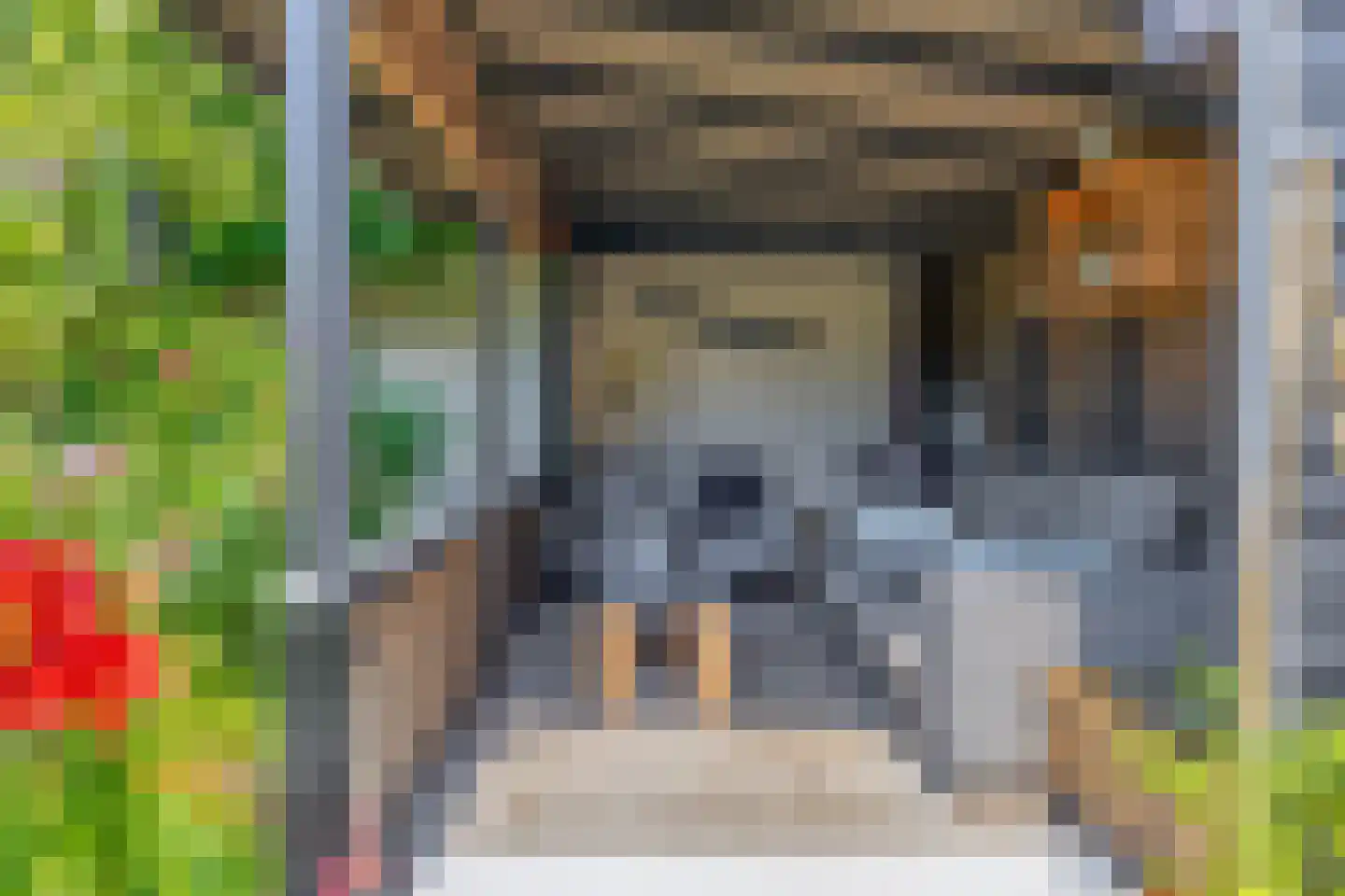 Boomgaardpad 6 Ooltgensplaat thumbnail 37