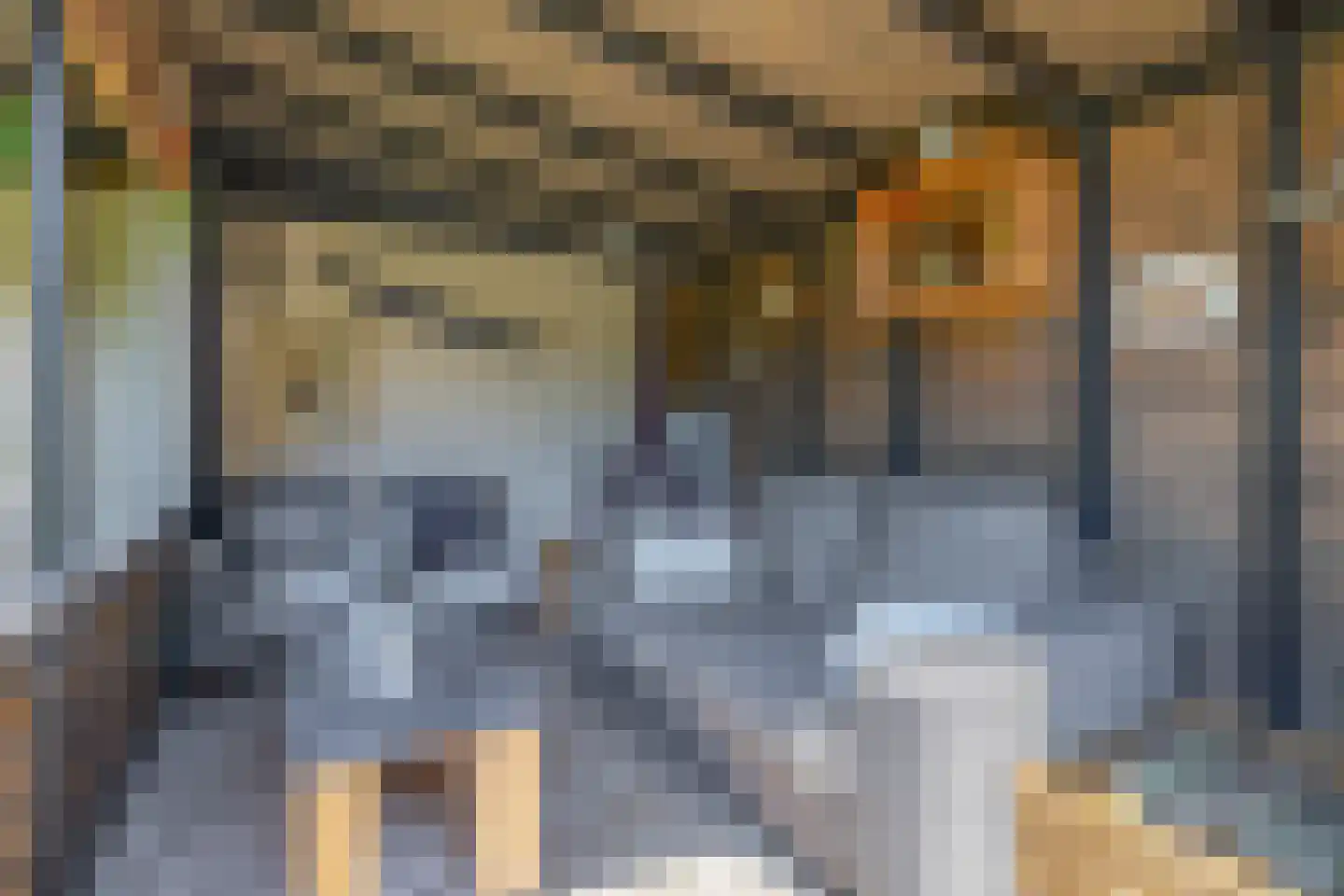 Boomgaardpad 6 Ooltgensplaat thumbnail 38
