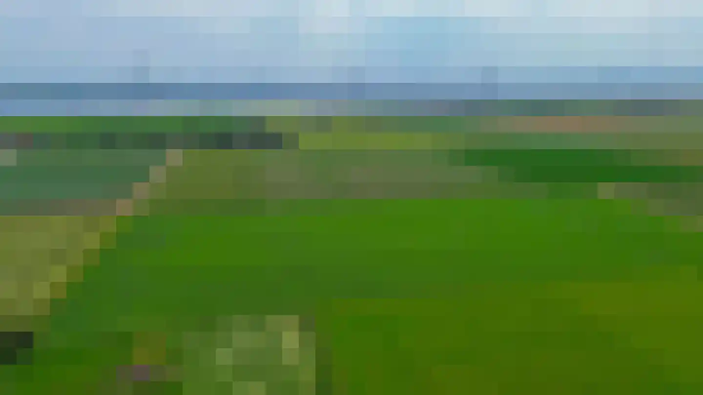 Boomgaardpad 6 Ooltgensplaat thumbnail 43