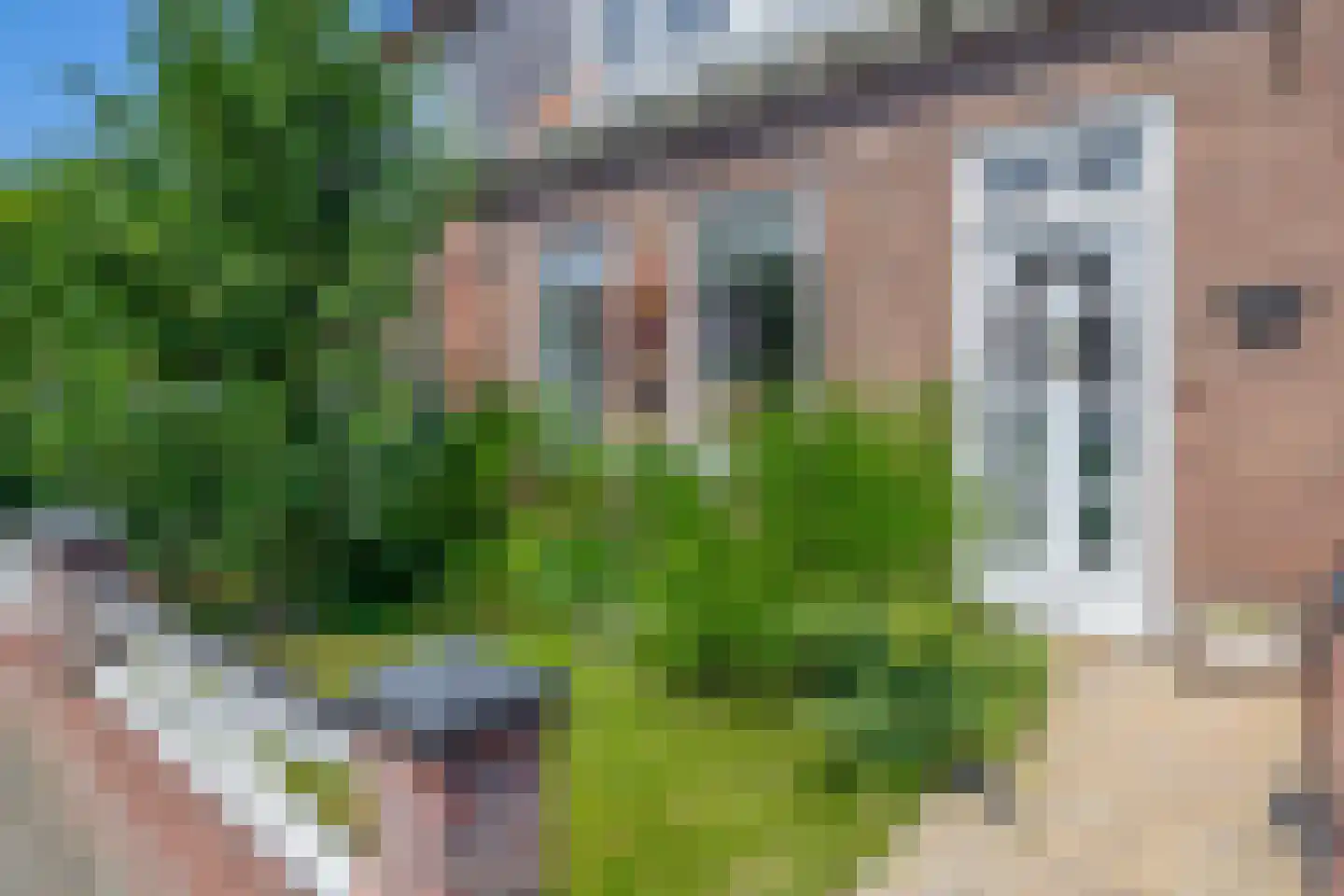 Boomgaardpad 6 Ooltgensplaat thumbnail 7