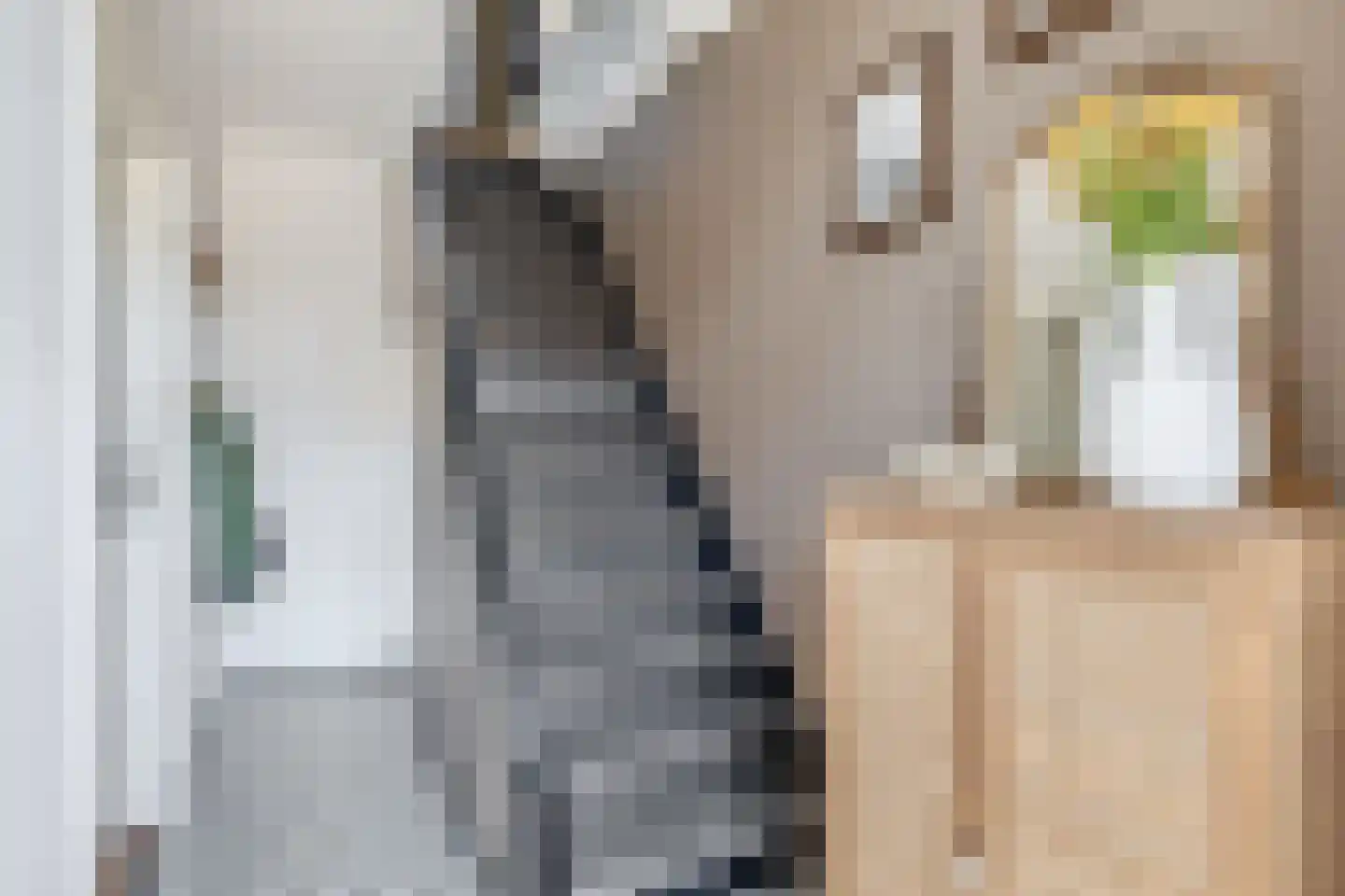 Boomgaardpad 6 Ooltgensplaat thumbnail 8