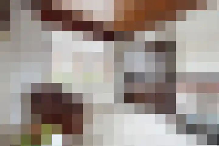 Boomgaardstraat 16 Fijnaart thumbnail 11