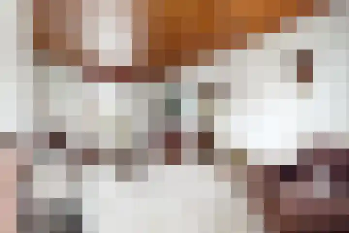 Boomgaardstraat 16 Fijnaart thumbnail 12