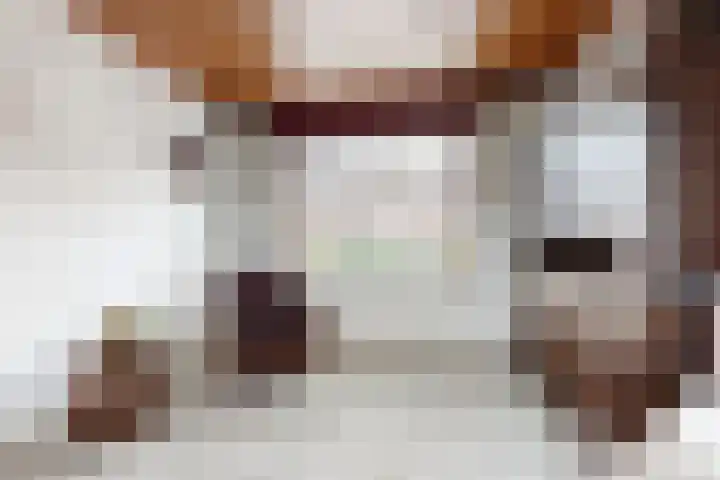 Boomgaardstraat 16 Fijnaart thumbnail 16