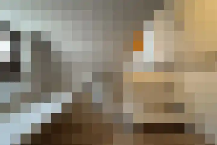 Boomgaardstraat 16 Fijnaart thumbnail 28