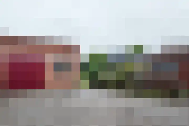 Boomgaardstraat 16 Fijnaart thumbnail 5