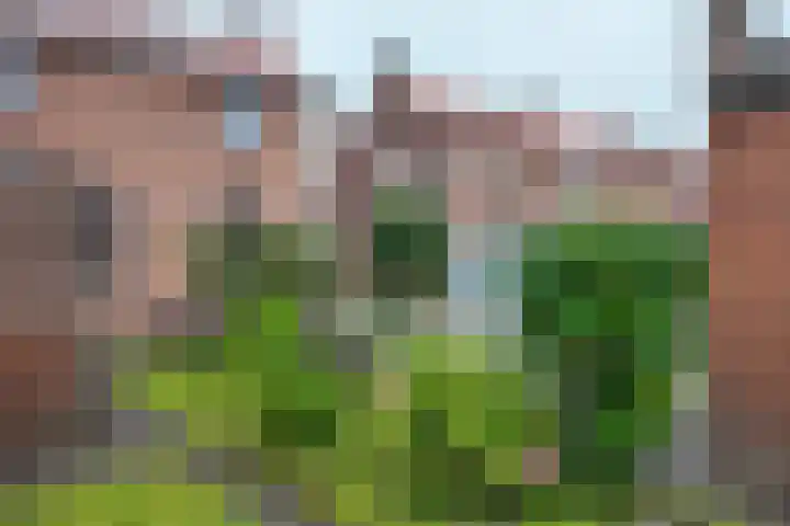 Boomgaardstraat 16 Fijnaart thumbnail 51