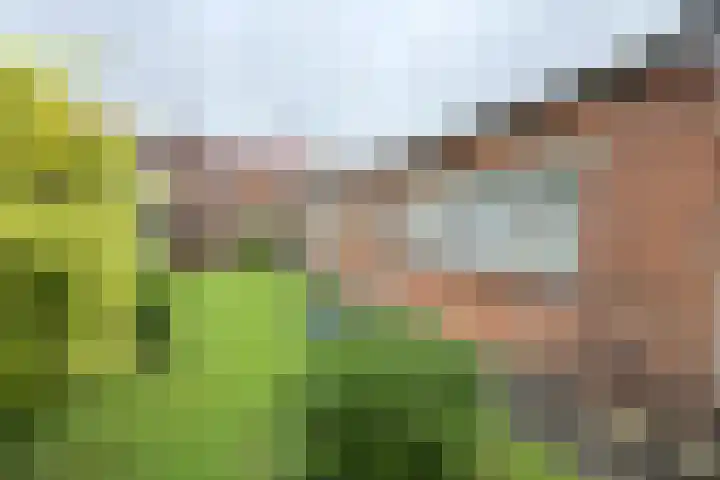 Boomgaardstraat 16 Fijnaart thumbnail 6