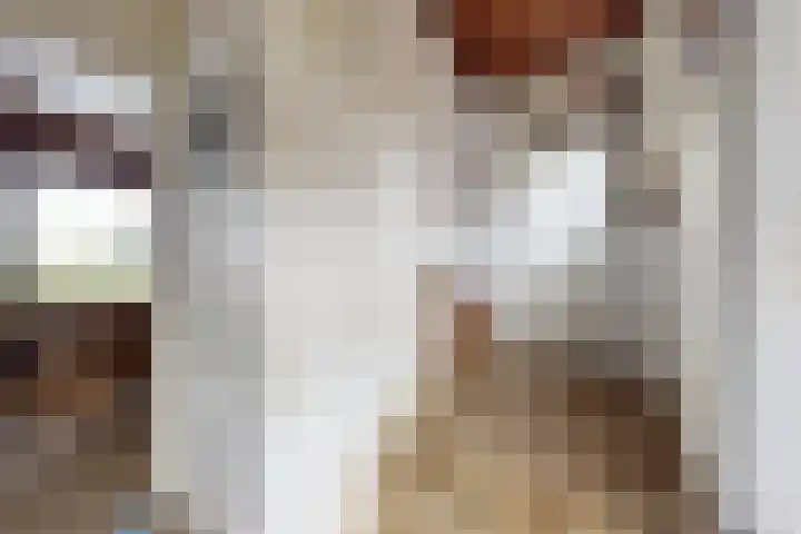 Boomgaardstraat 16 Fijnaart thumbnail 8