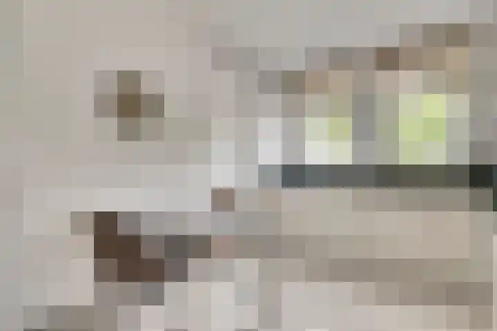 Boomgaardstraat 17 a Vlodrop thumbnail 11
