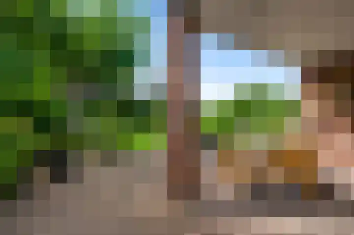 Boomgaardstraat 17 a Vlodrop thumbnail 24