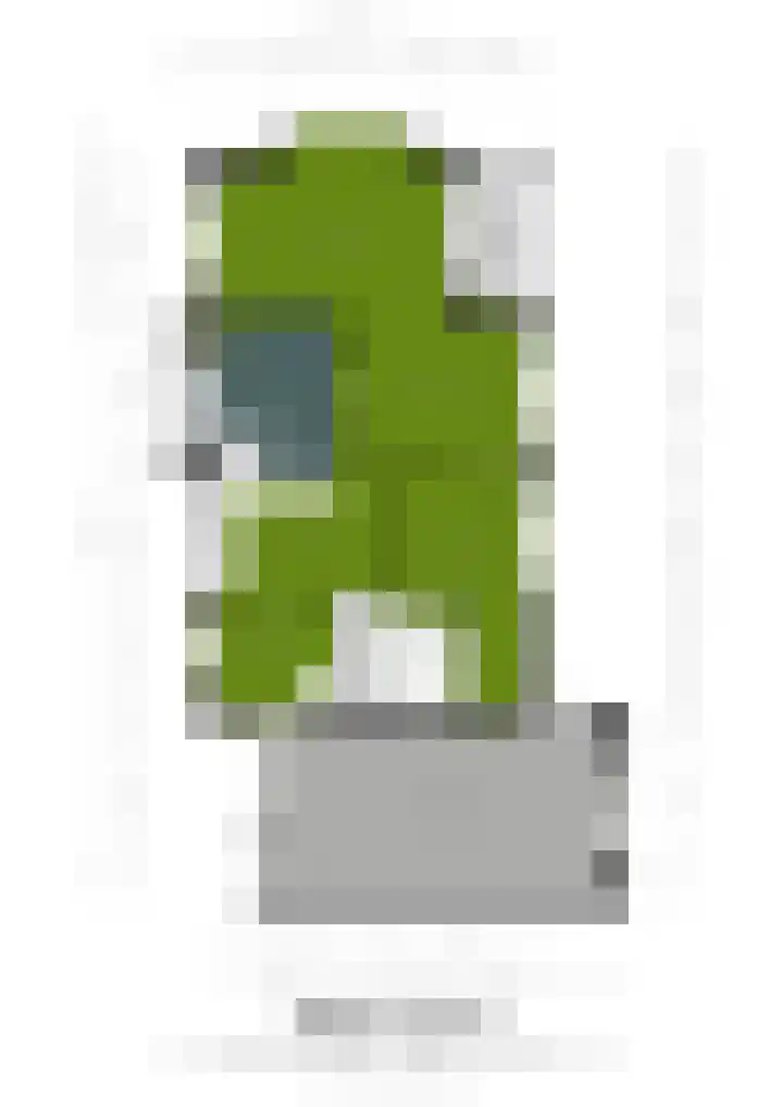 Boomgaardstraat 17 a Vlodrop thumbnail 28