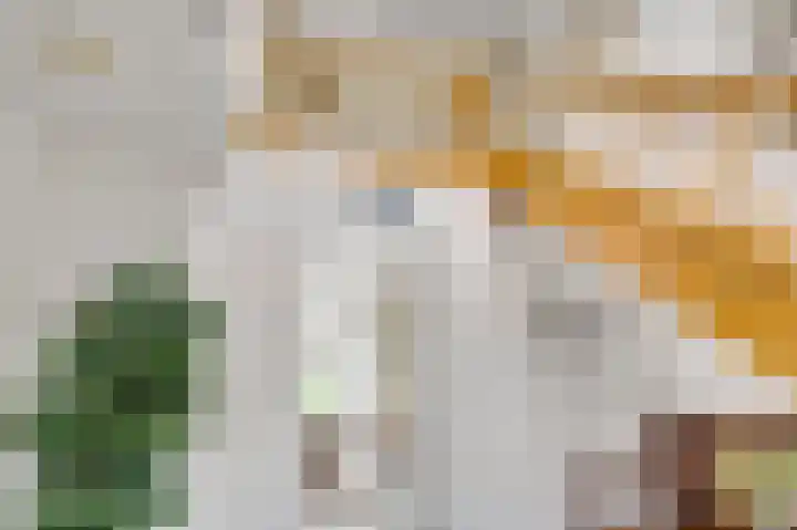 Boomgaardstraat 17 a Vlodrop thumbnail 5