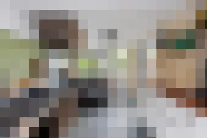 Boomgaardstraat 2 Oud-Beijerland thumbnail 20