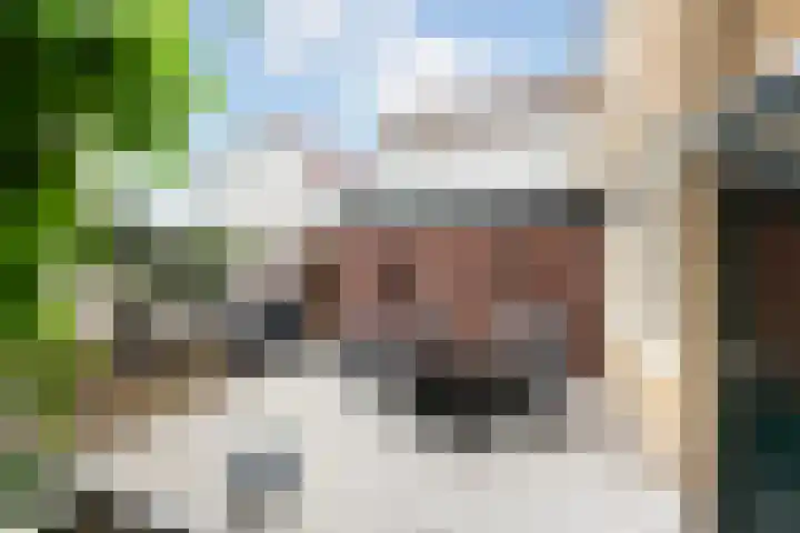 Boomgaardstraat 2 Oud-Beijerland thumbnail 35