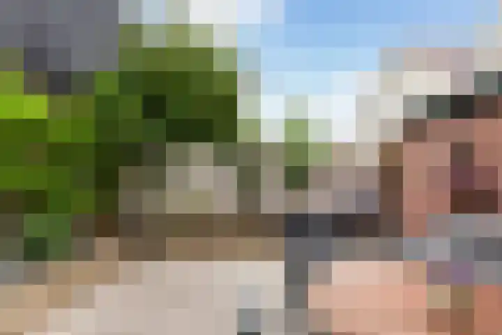 Boomgaardstraat 2 Oud-Beijerland thumbnail 36