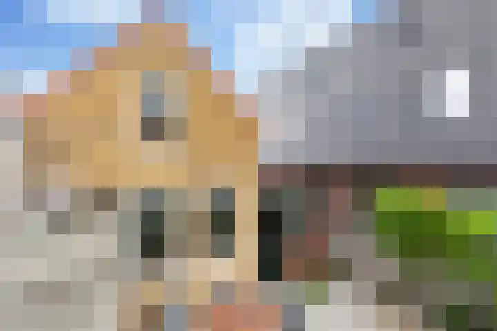 Boomgaardstraat 2 Oud-Beijerland thumbnail 40