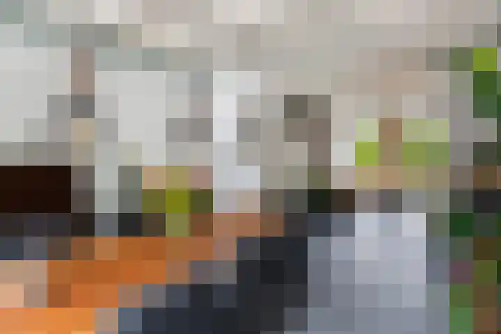 Boomgaardstraat 2 Oud-Beijerland thumbnail 6