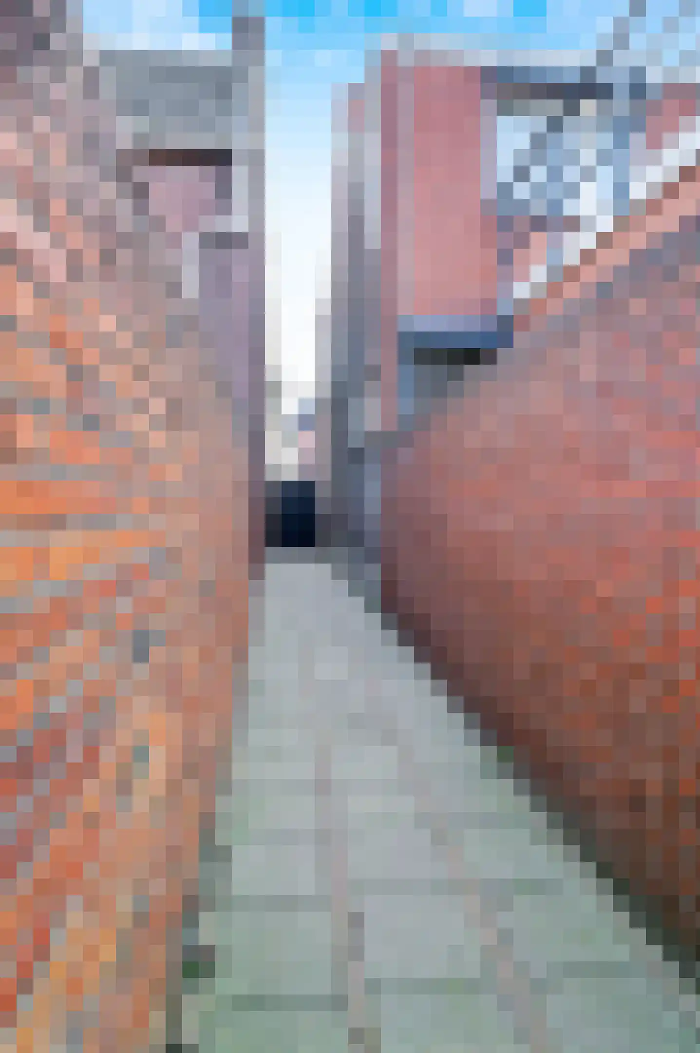 Boomgaardstraat 34 Roosendaal thumbnail 35