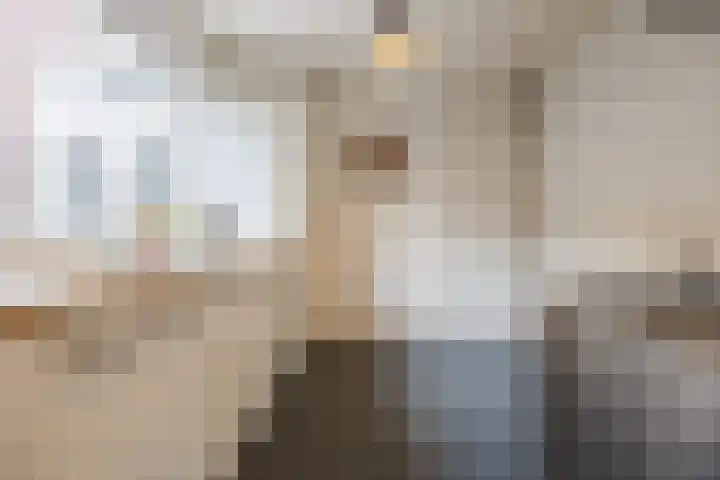 Boomgaardstraat 6 Roosendaal thumbnail 20