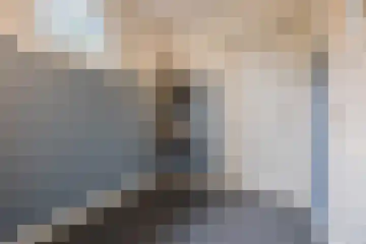 Boomgaardstraat 6 Roosendaal thumbnail 21