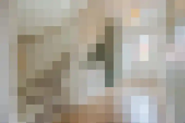 Boomgaardstraat 6 Roosendaal thumbnail 26
