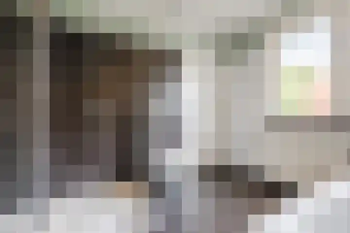 Boomgaardstraat 6 Roosendaal thumbnail 39