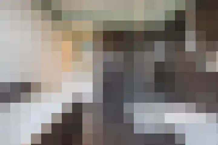 Boomgaardstraat 6 Roosendaal thumbnail 5