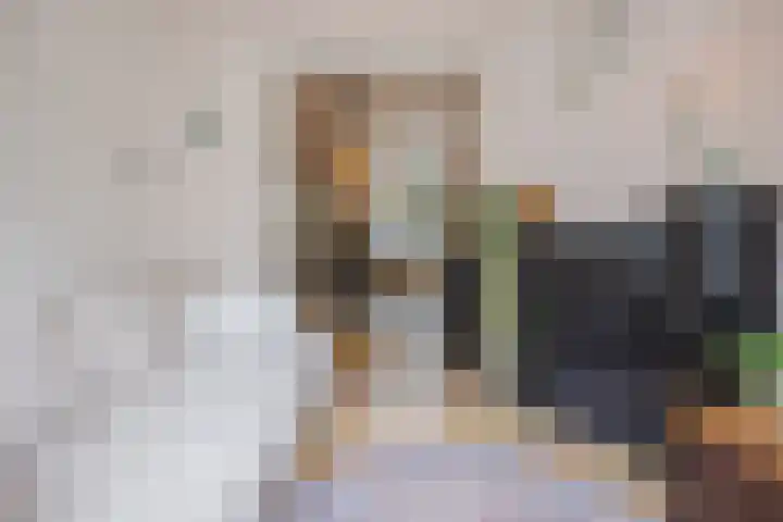 Boomgaardstraat 6 Roosendaal thumbnail 6