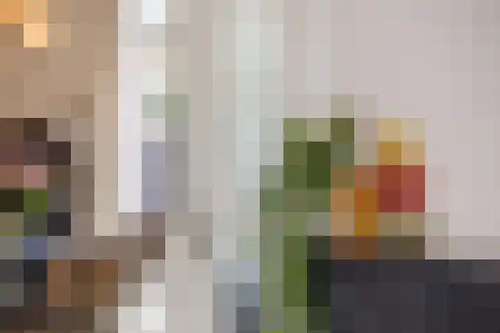 Boomgaardstraat 6 Roosendaal thumbnail 8