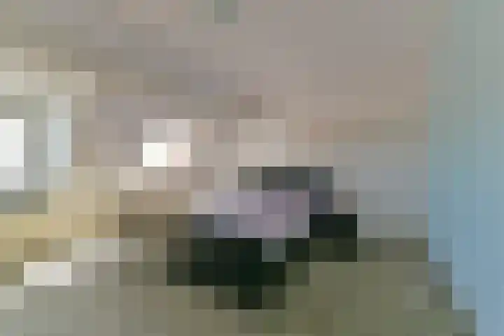 Boomgaardweg 1 b Odijk thumbnail 24