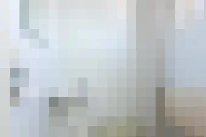 Boomgaardweg 1 b Odijk thumbnail 33
