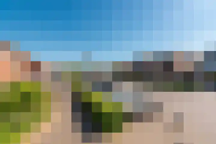 Boomgaardweg 1 b Odijk thumbnail 37
