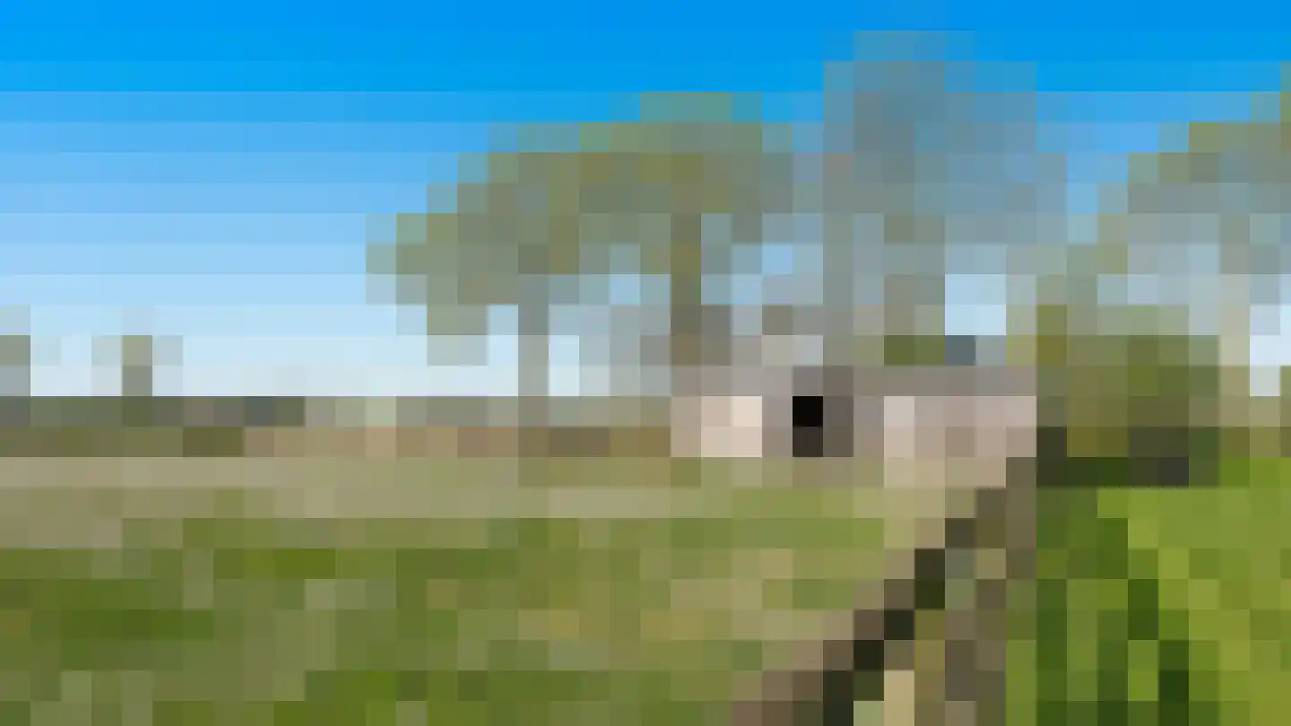 Boomgaardweg 2 Aardenburg thumbnail 12