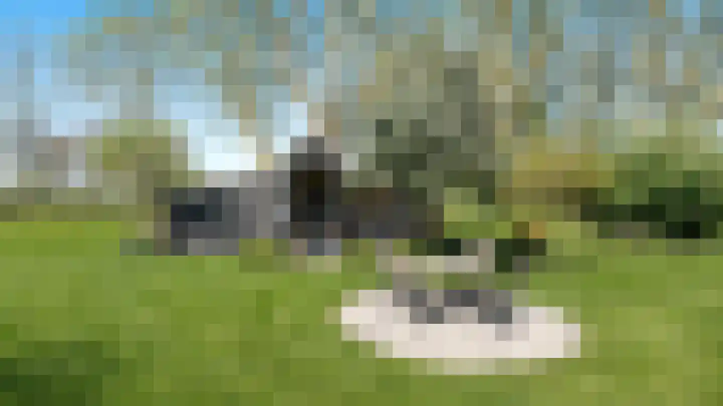 Boomgaardweg 2 Aardenburg thumbnail 39