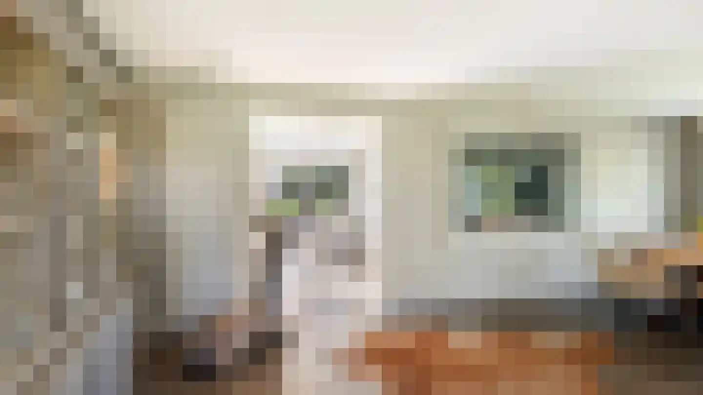 Boomgaardweg 2 Aardenburg thumbnail 48