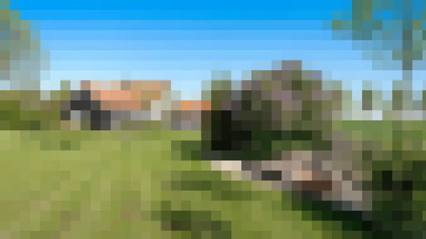 Boomgaardweg 2 Aardenburg thumbnail 8