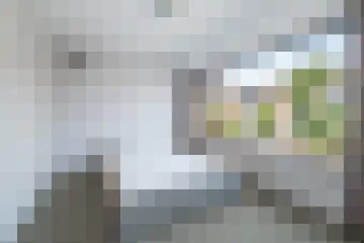 Boomgaardweg 30 Odijk thumbnail 23
