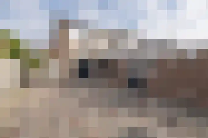 Boomgaardweg 30 Odijk thumbnail 32