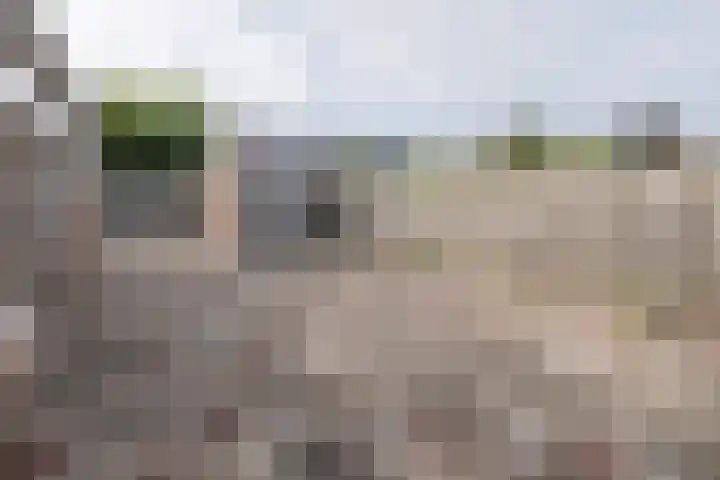Boomgaardweg 30 Odijk thumbnail 33